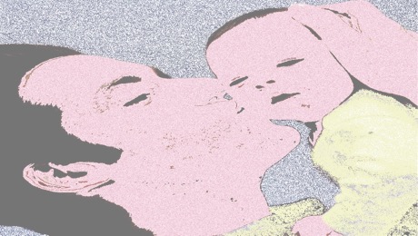 Pasted Graphic 8